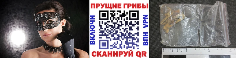 Псилоцибиновые грибы ЛСД площадка какой сайт Облучье